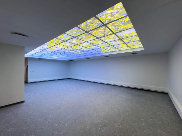 SOCIETE TRAVAUX BATIMENT (4)