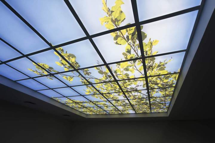 SOCIETE TRAVAUX BATIMENT (5)