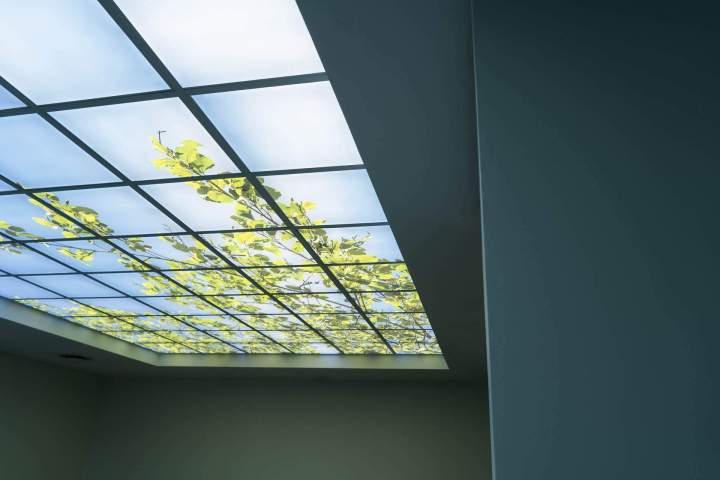 SOCIETE TRAVAUX BATIMENT (7)